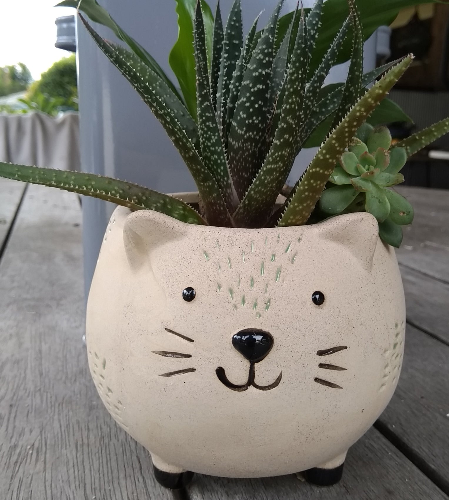 Planter Pot - CAT Valuezy