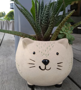 Planter Pot - CAT Valuezy