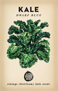 Heirloom Seeds - Kale 'Dwarf Blue'
