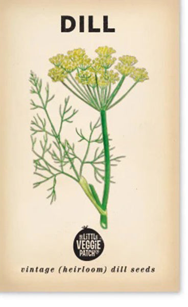 Heirloom Seeds - Dill 'Common'