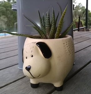 Planter Pot - DOG Valuezy