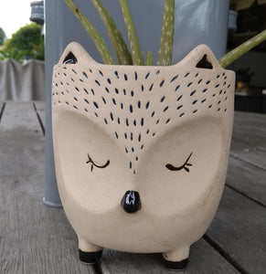 Planter Pot - FOX Large Valuezy